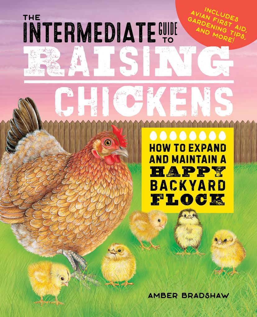 The Intermediate Guide to Raising Chickens
