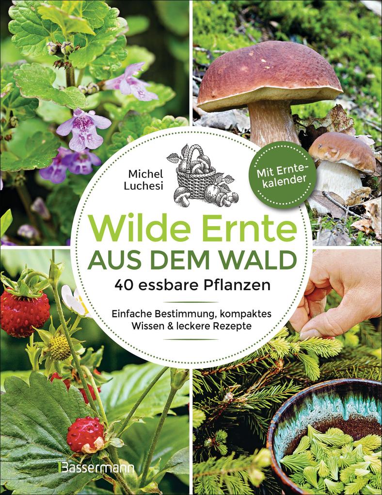 Wilde Ernte aus dem Wald - 40 essbare Pflanzen - einfache Bestimmung kompaktes Wissen und leckere Rezepte