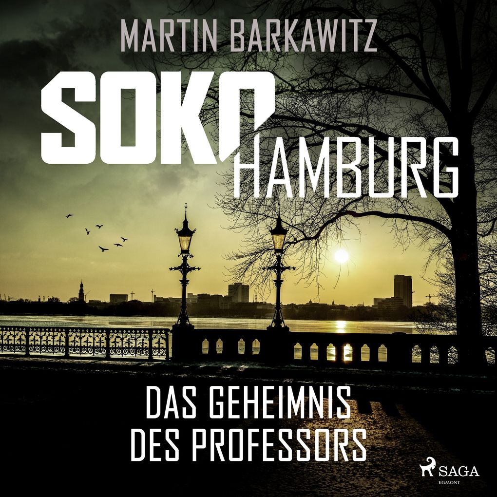 SoKo Hamburg: Das Geheimnis des Professors (Ein Fall für Heike Stein Band 9)