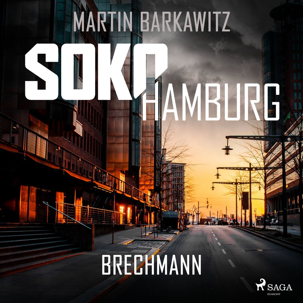 SoKo Hamburg: Brechmann (Ein Fall für Heike Stein Band 17)