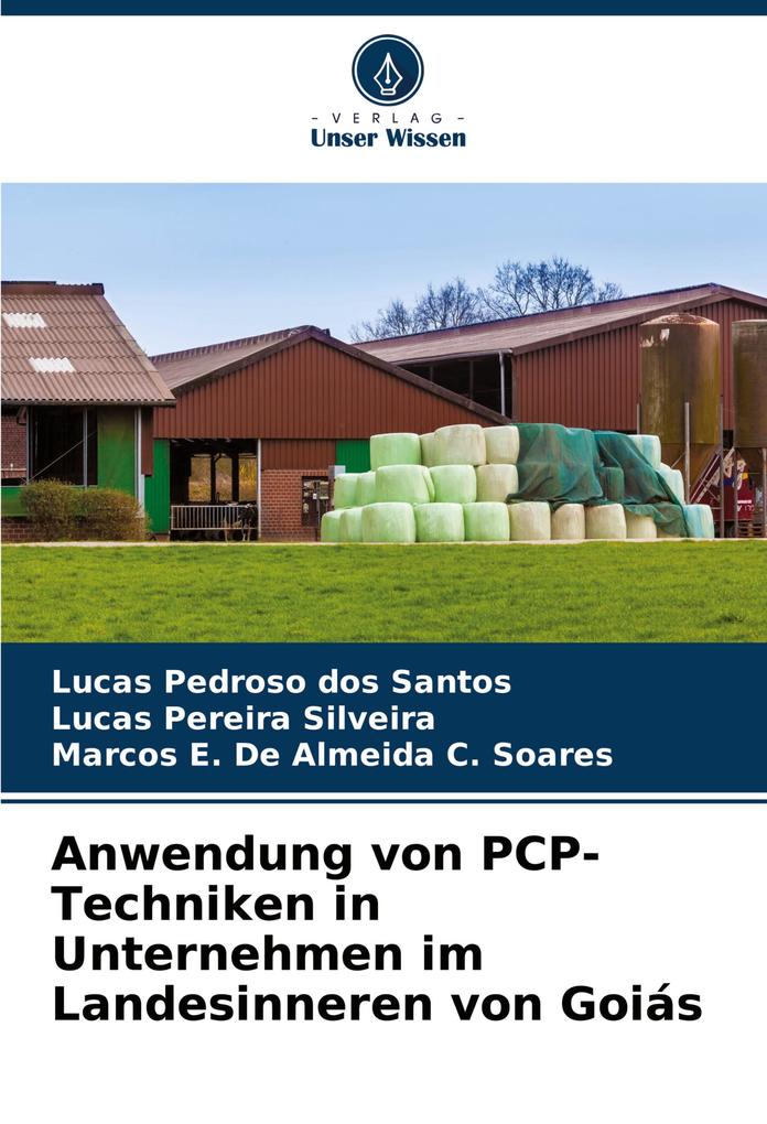 Anwendung von PCP-Techniken in Unternehmen im Landesinneren von Goiás