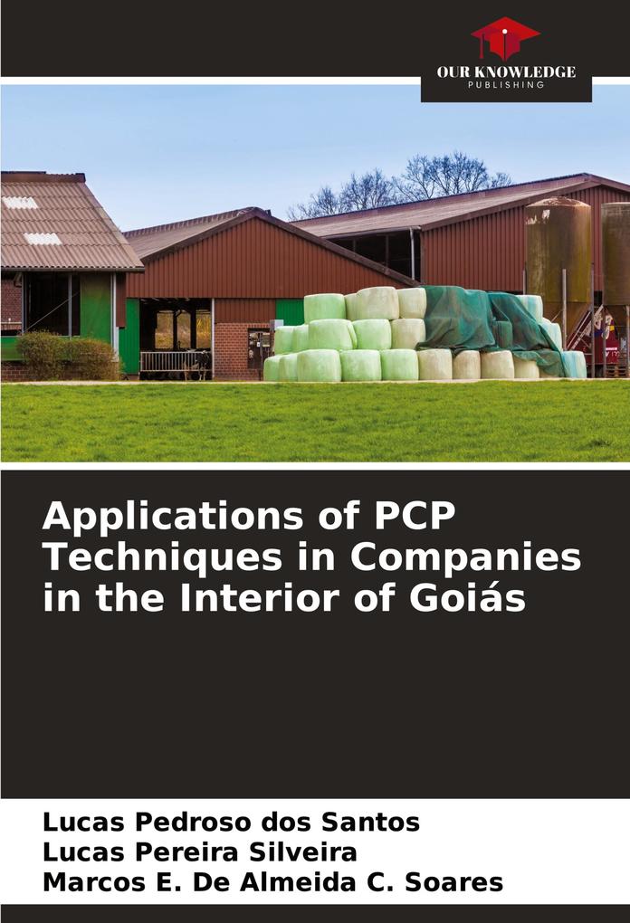 Applications of PCP Techniques in Companies in the Interior of Goiás