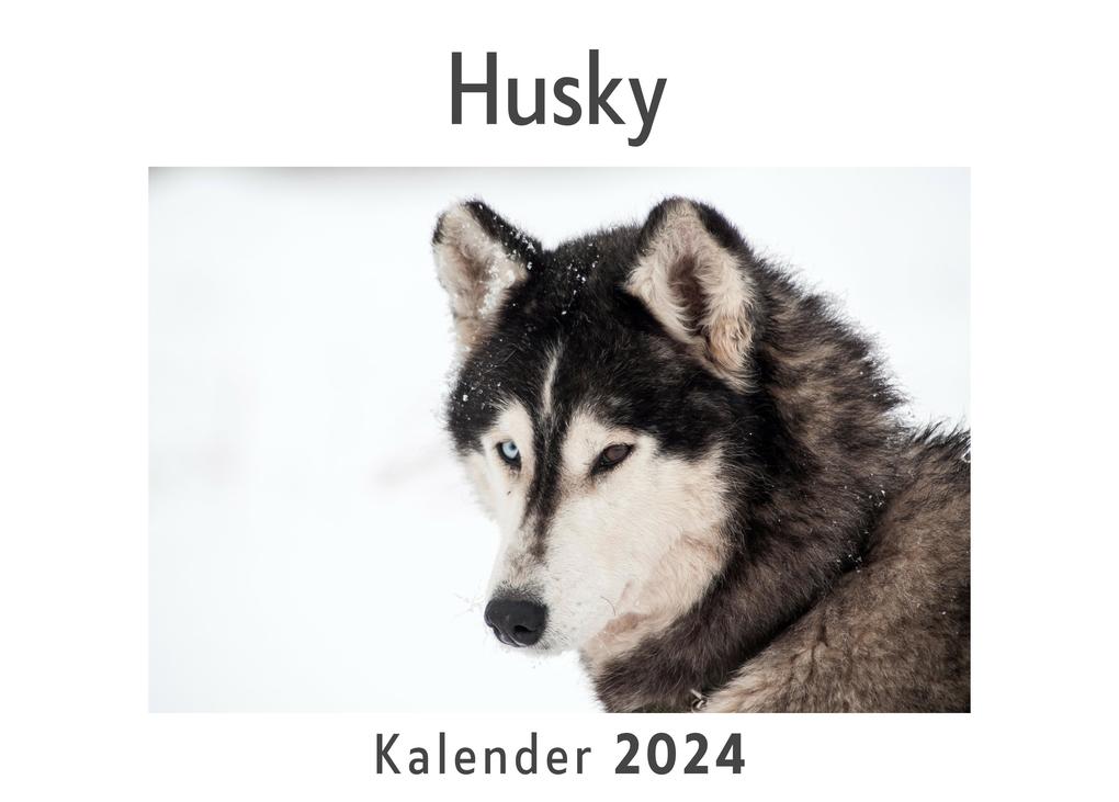 Husky (Wandkalender 2024 Kalender DIN A4 quer Monatskalender im Querformat mit Kalendarium Das perfekte Geschenk)