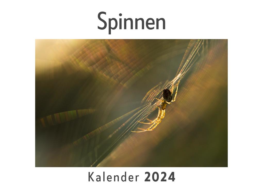 Spinnen (Wandkalender 2024 Kalender DIN A4 quer Monatskalender im Querformat mit Kalendarium Das perfekte Geschenk)