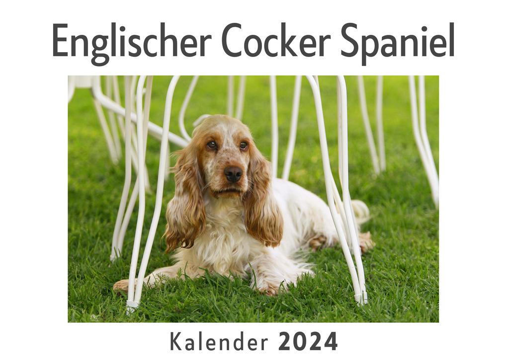 Englischer Cocker Spaniel (Wandkalender 2024 Kalender DIN A4 quer Monatskalender im Querformat mit Kalendarium Das perfekte Geschenk)
