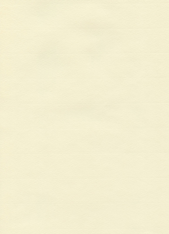 Hahnemühle Papier The Collection - Ingres Pastel ca. 625 x 48 cm 100 g/m²