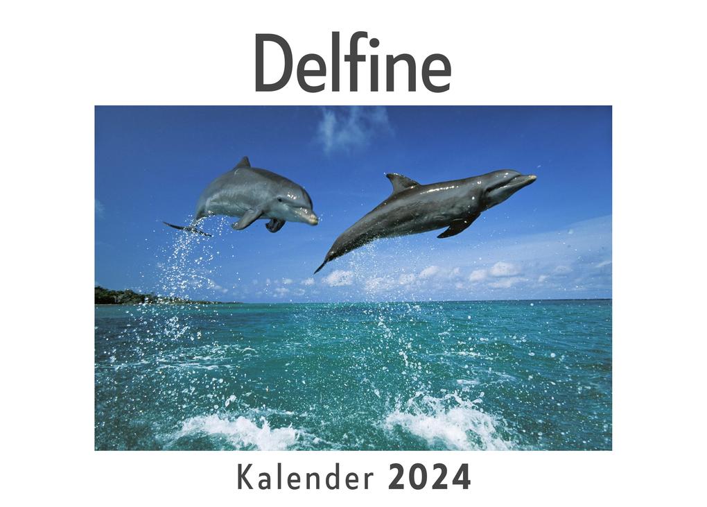 Delfine (Wandkalender 2024 Kalender DIN A4 quer Monatskalender im Querformat mit Kalendarium Das perfekte Geschenk)