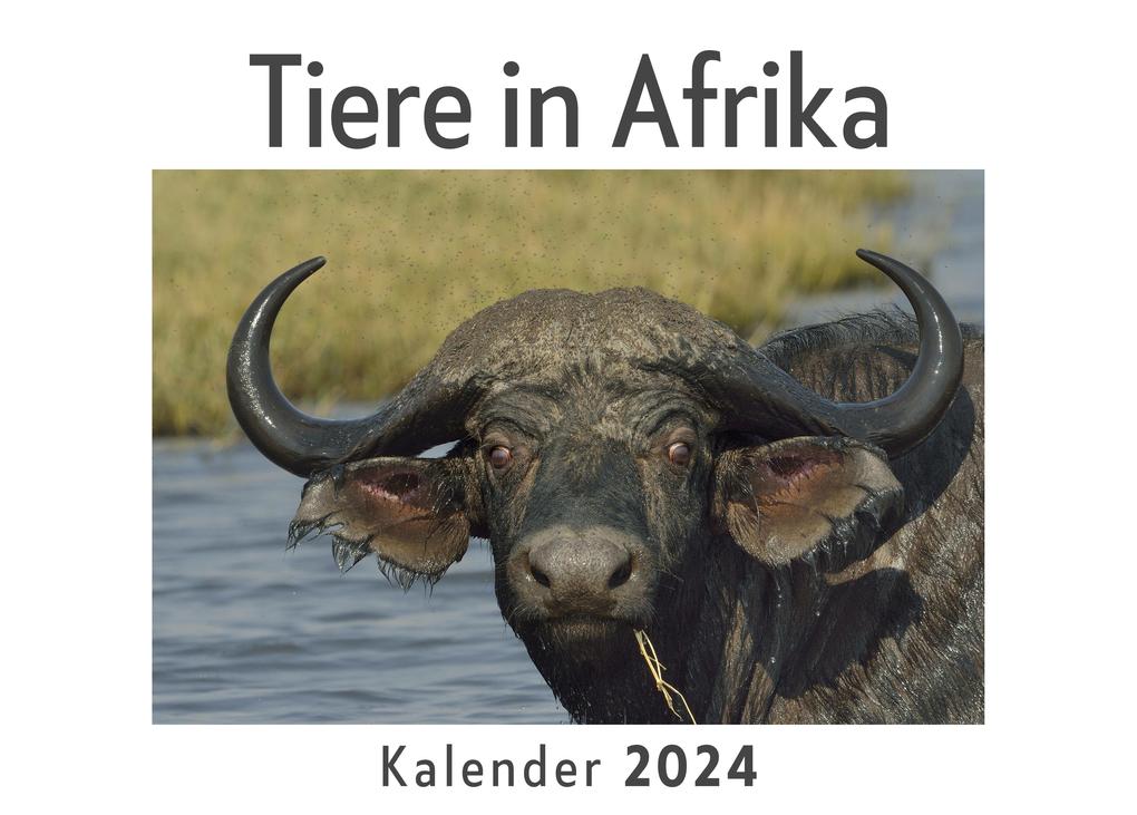 Tiere in Afrika (Wandkalender 2024 Kalender DIN A4 quer Monatskalender im Querformat mit Kalendarium Das perfekte Geschenk)