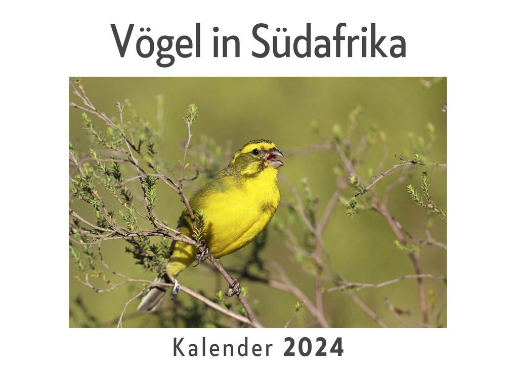 Vögel in Südafrika (Wandkalender 2024 Kalender DIN A4 quer Monatskalender im Querformat mit Kalendarium Das perfekte Geschenk)