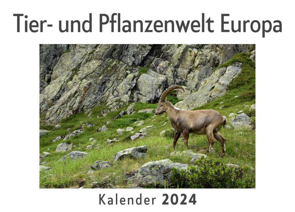 Tier- und Pflanzenwelt Europa (Wandkalender 2024 Kalender DIN A4 quer Monatskalender im Querformat mit Kalendarium Das perfekte Geschenk)