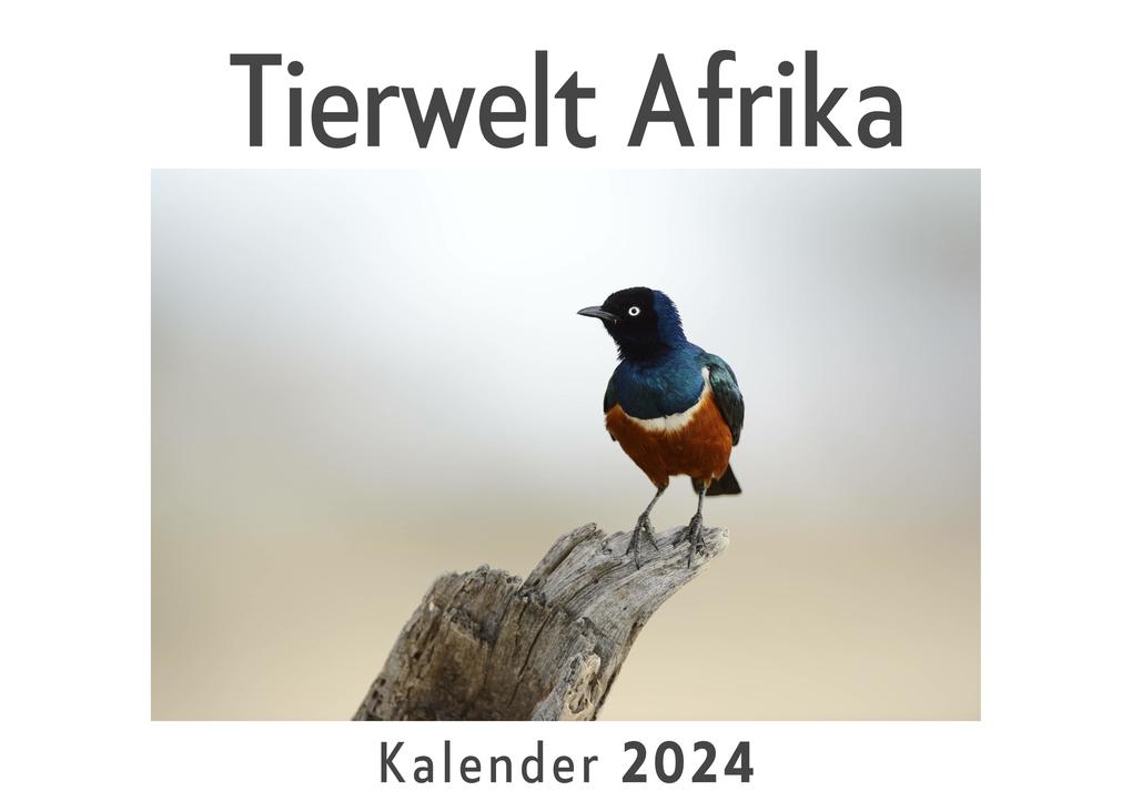 Tierwelt Afrika (Wandkalender 2024 Kalender DIN A4 quer Monatskalender im Querformat mit Kalendarium Das perfekte Geschenk)