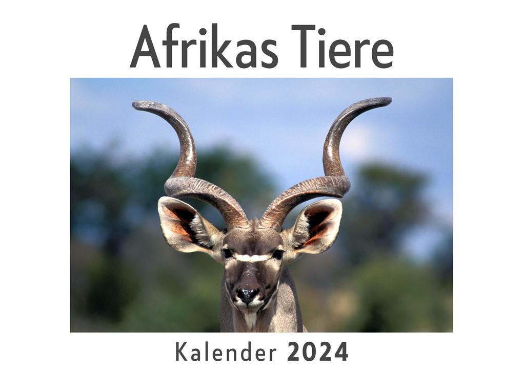 Afrikas Tiere (Wandkalender 2024 Kalender DIN A4 quer Monatskalender im Querformat mit Kalendarium Das perfekte Geschenk)