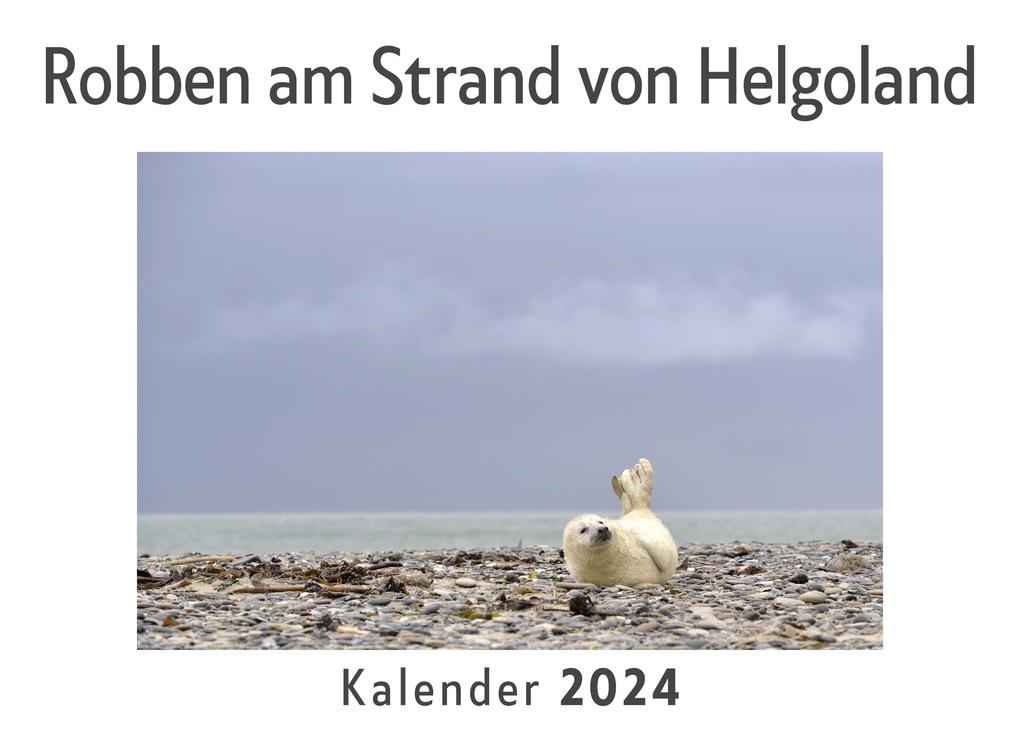 Robben am Strand von Helgoland (Wandkalender 2024 Kalender DIN A4 quer Monatskalender im Querformat mit Kalendarium Das perfekte Geschenk)