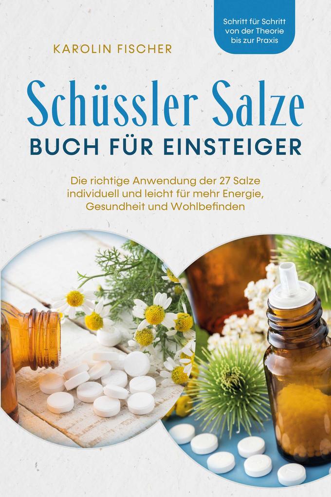 Schüssler Salze Buch für Einsteiger: Die richtige Anwendung der 27 Salze individuell und leicht für mehr Energie Gesundheit und Wohlbefinden - Schritt für Schritt von der Theorie bis zur Praxis