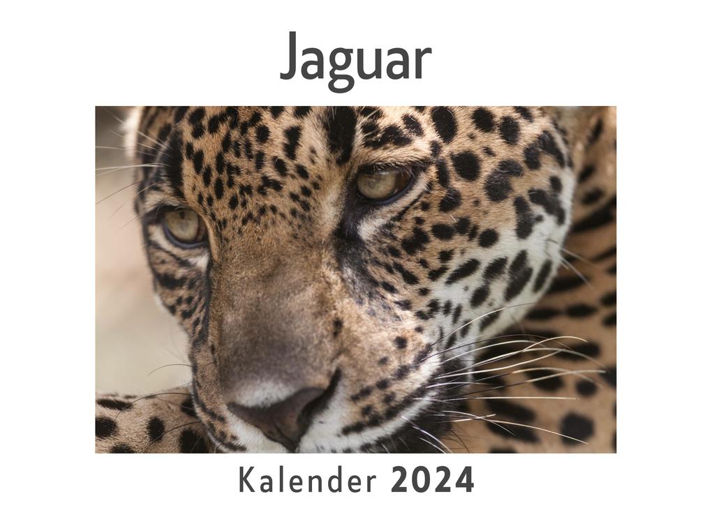 Jaguar (Wandkalender 2024 Kalender DIN A4 quer Monatskalender im Querformat mit Kalendarium Das perfekte Geschenk)