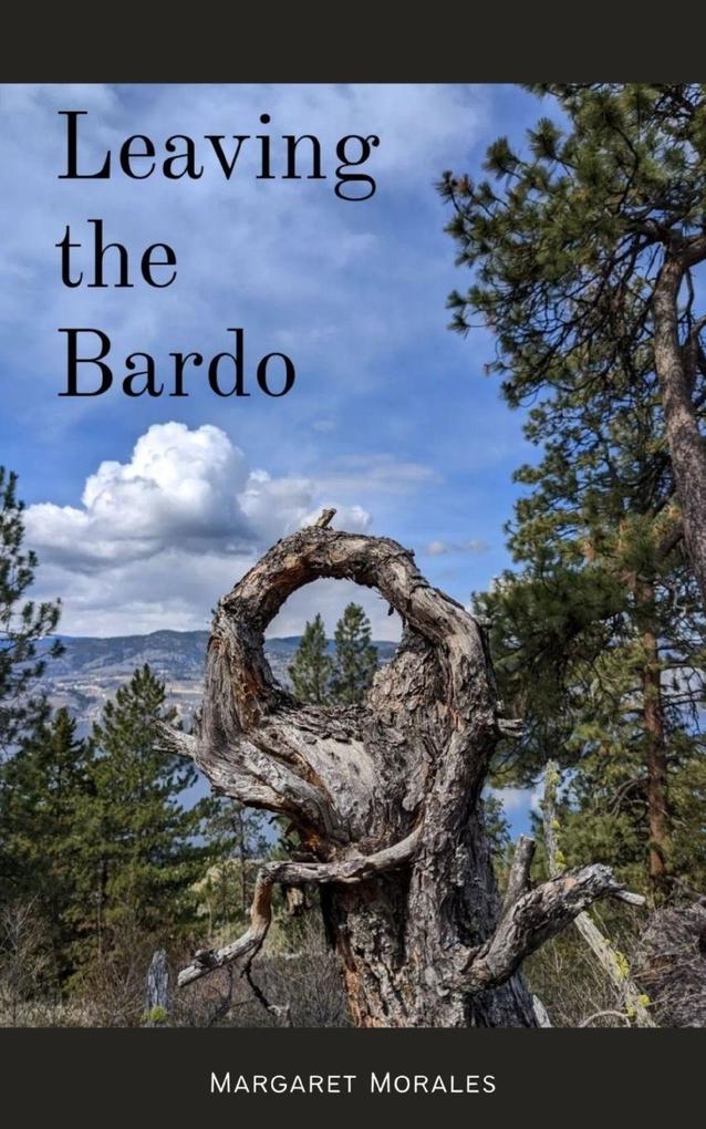 Leaving the Bardo