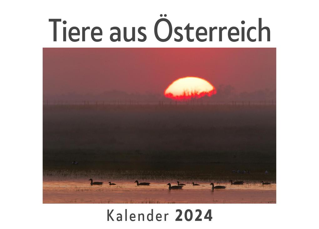 Tiere aus Österreich (Wandkalender 2024 Kalender DIN A4 quer Monatskalender im Querformat mit Kalendarium Das perfekte Geschenk)
