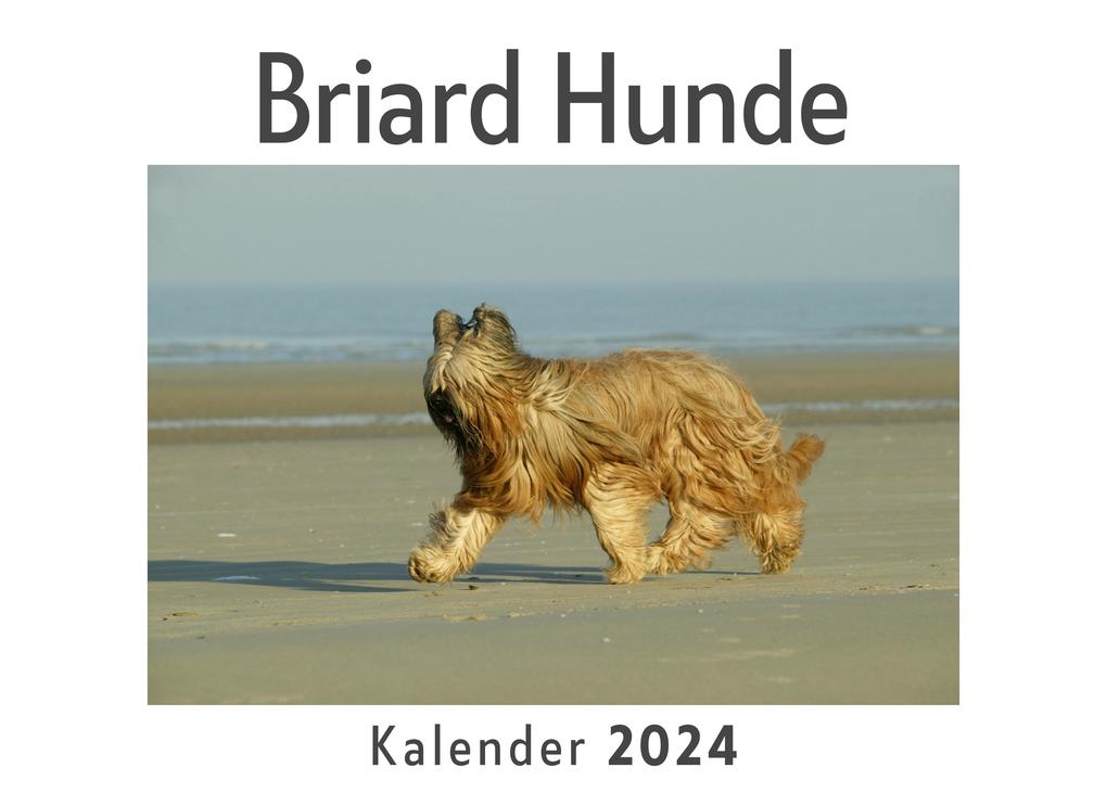 Briard Hunde (Wandkalender 2024 Kalender DIN A4 quer Monatskalender im Querformat mit Kalendarium Das perfekte Geschenk)