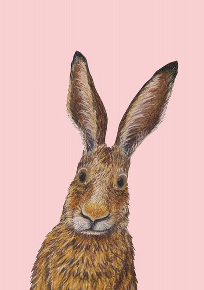 Ich heiße Hase und... Postkarte VE 1=10
