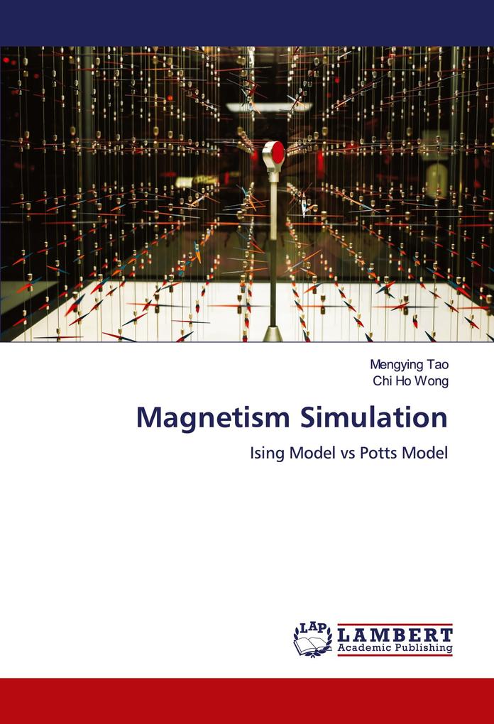 Magnetism Simulation
