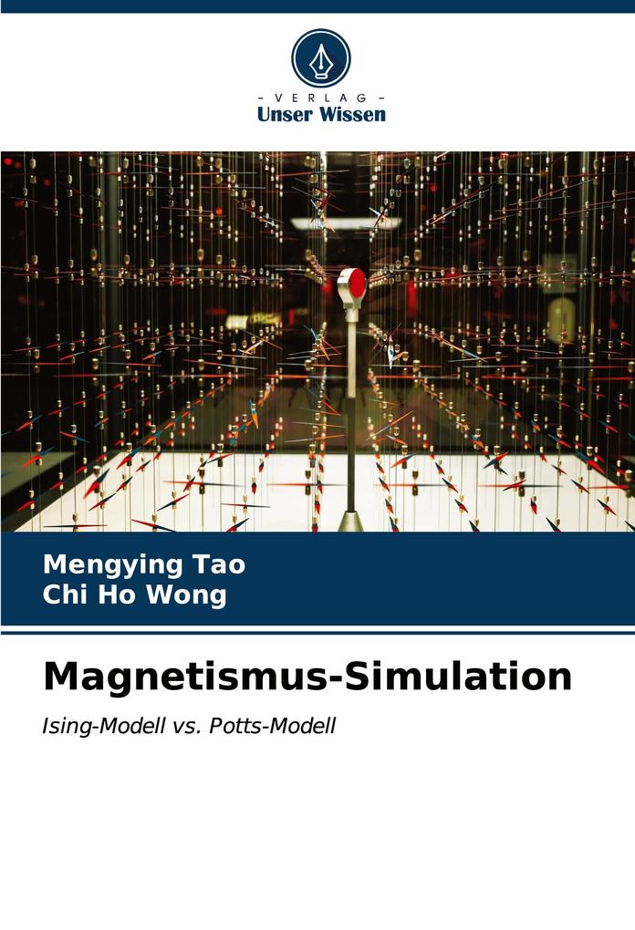 Magnetismus-Simulation