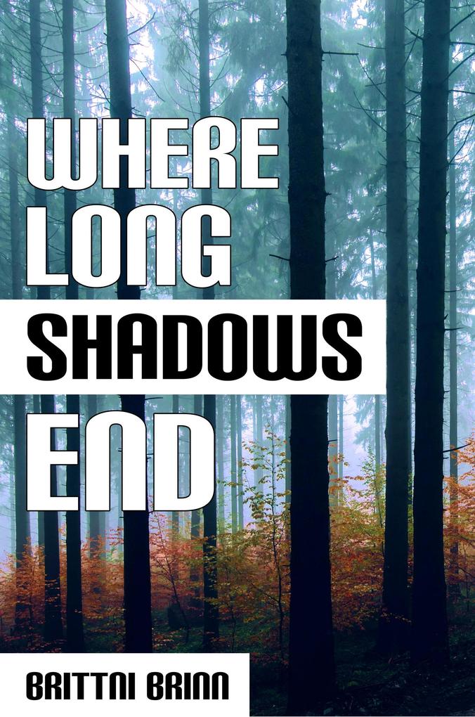 Where Long Shadows End (The Patch Project #3)