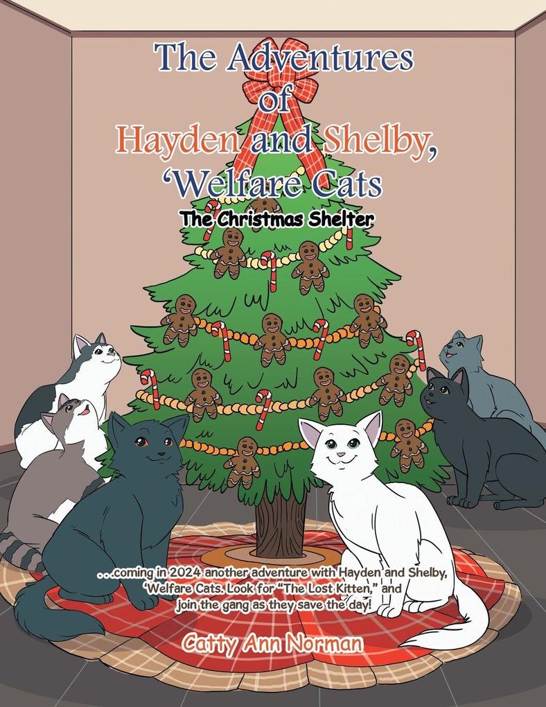 The Adventures of Hayden and Shelby 'Welfare Cats
