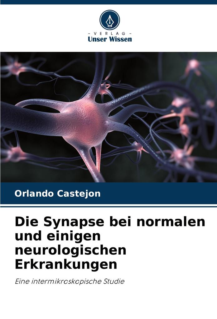 Die Synapse bei normalen und einigen neurologischen Erkrankungen