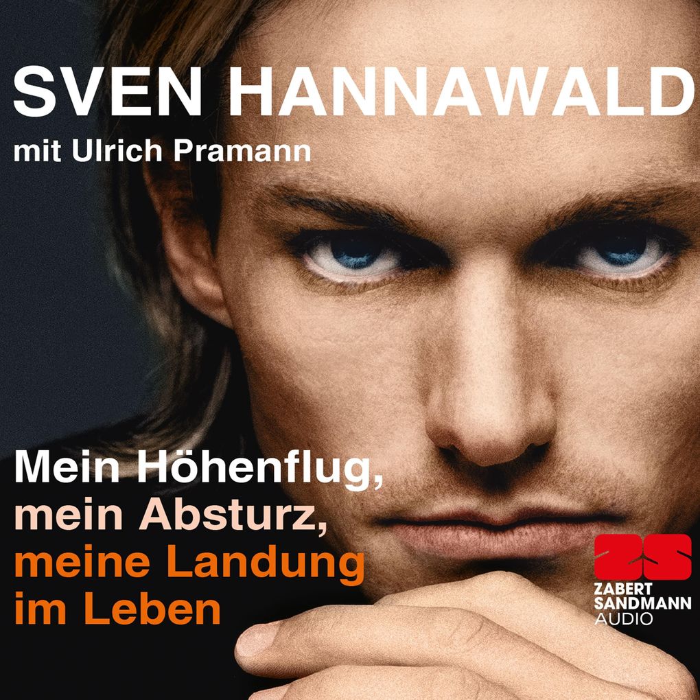 Mein Höhenflug mein Absturz meine Landung im Leben
