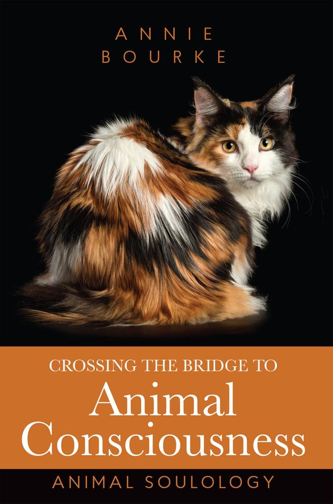 Crossing the Bridge to Animal Consciousness