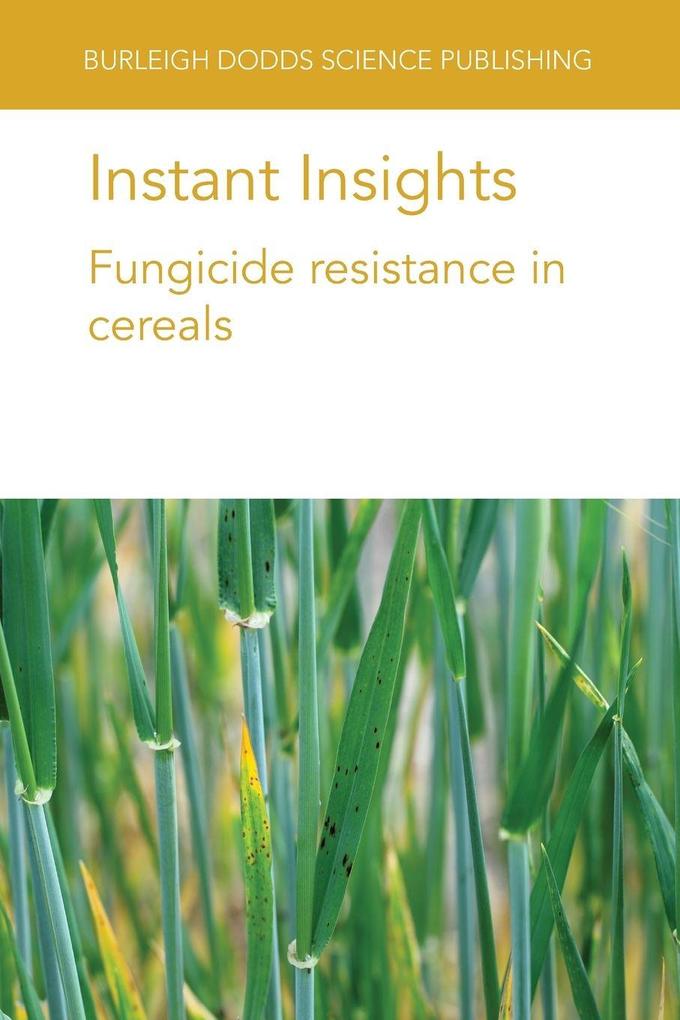 Instant Insights