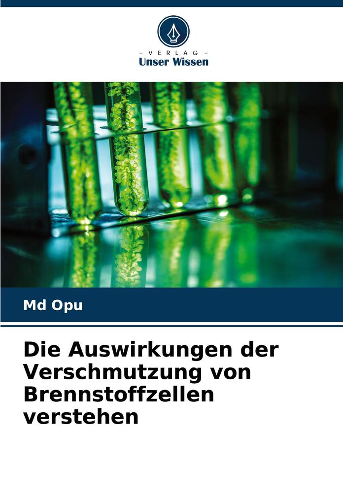 Die Auswirkungen der Verschmutzung von Brennstoffzellen verstehen
