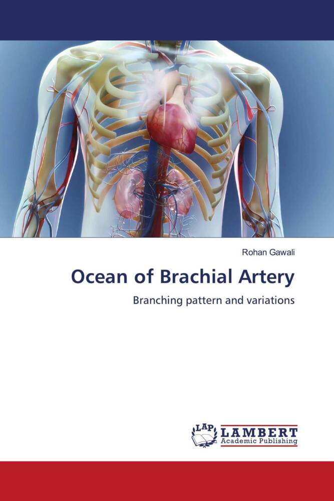 Ocean of Brachial Artery