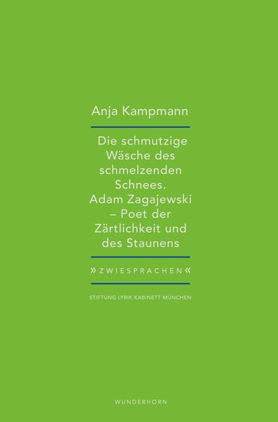 Die schmutzige Wäsche des schmelzenden Schnees