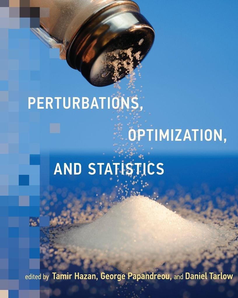 Perturbations Optimization and Statistics