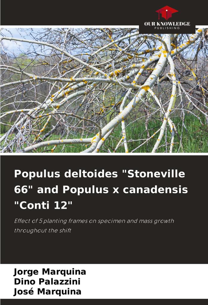 Populus deltoides 'Stoneville 66' and Populus x canadensis 'Conti 12'