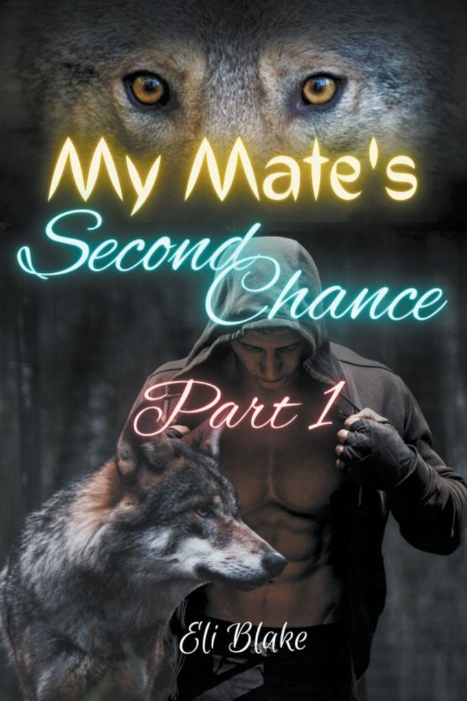 My Mate's Second Chance