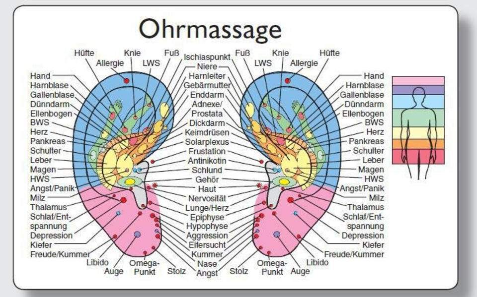 Reflexzonenmassagekarte 'Ohr'