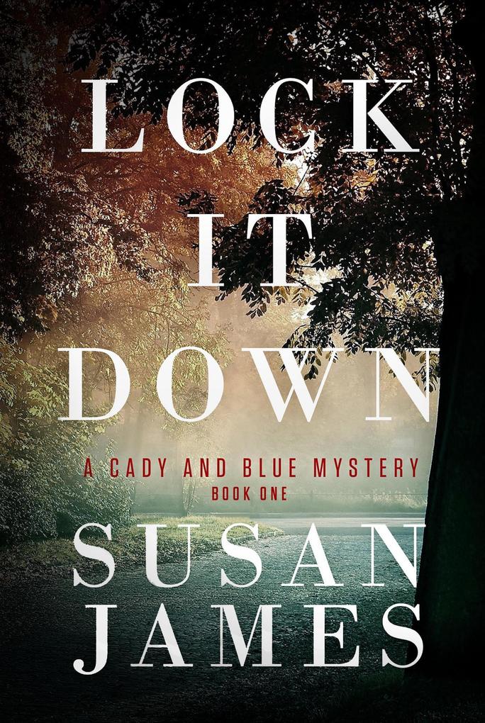 Lock It Down (Cady and Blue Mystery #1)