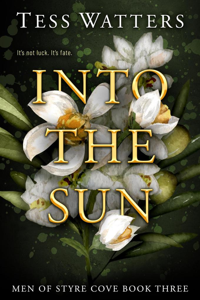Into the Sun (Men of Styre Cove #3)