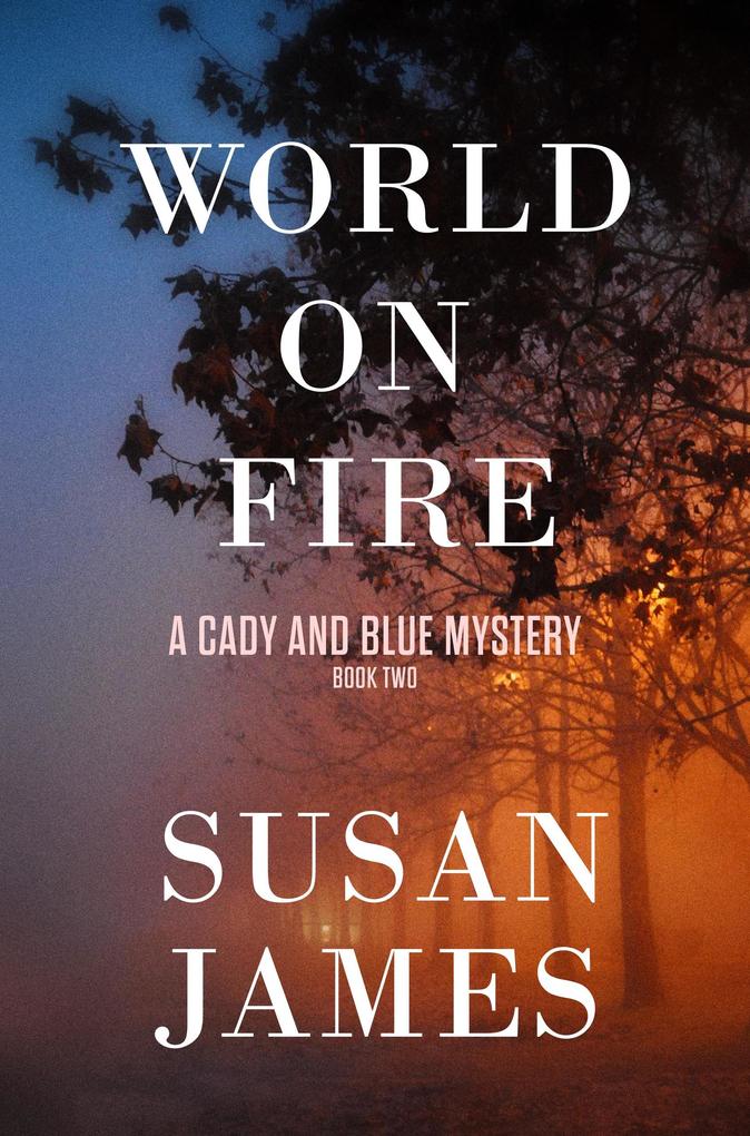 World on Fire (Cady and Blue Mystery #2)