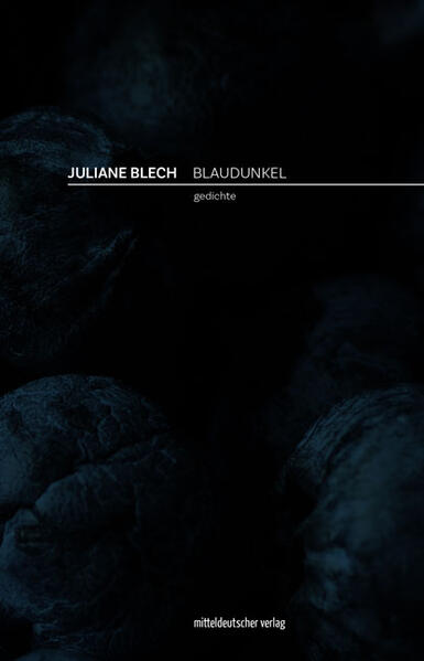 Blaudunkel