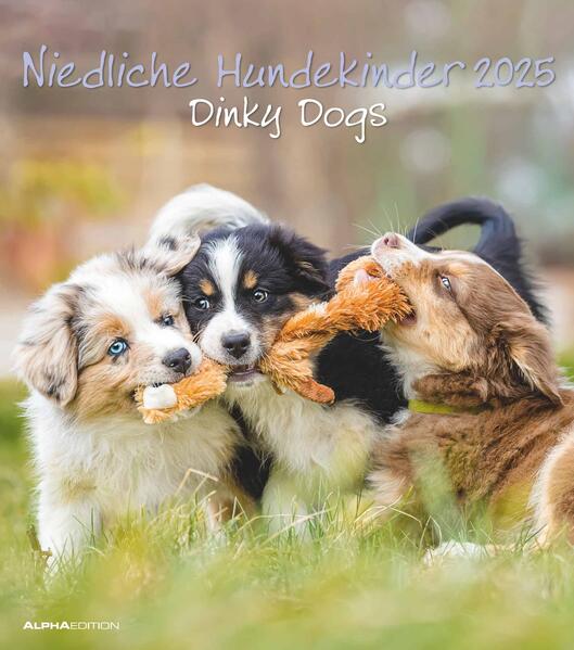 Niedliche Hundekinder 2025 - Wand-Kalender - Tier-Kalender - 30x34