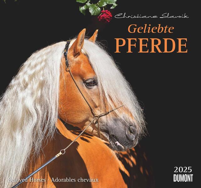 Geliebte Pferde 2025 - DUMONT-Wandkalender - Pferdefotografie von Christiane Slawik Format - 380 x 355 cm