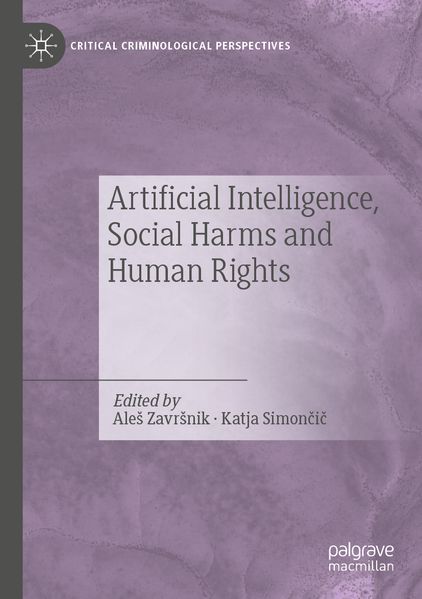 Artificial Intelligence Social Harms and Human Rights