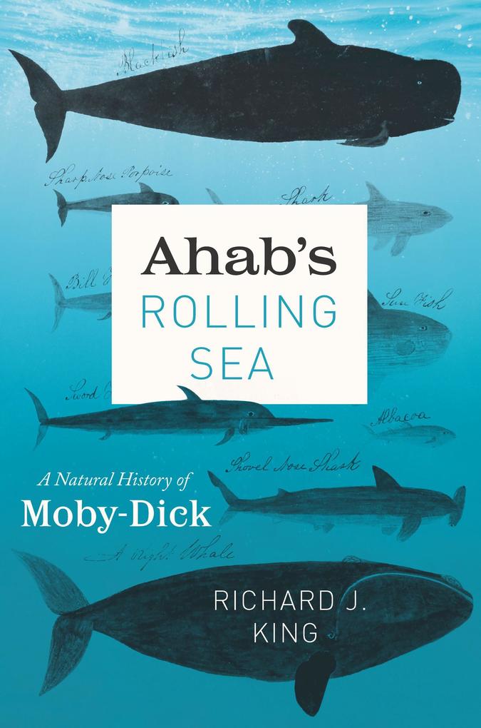 Ahab‘s Rolling Sea