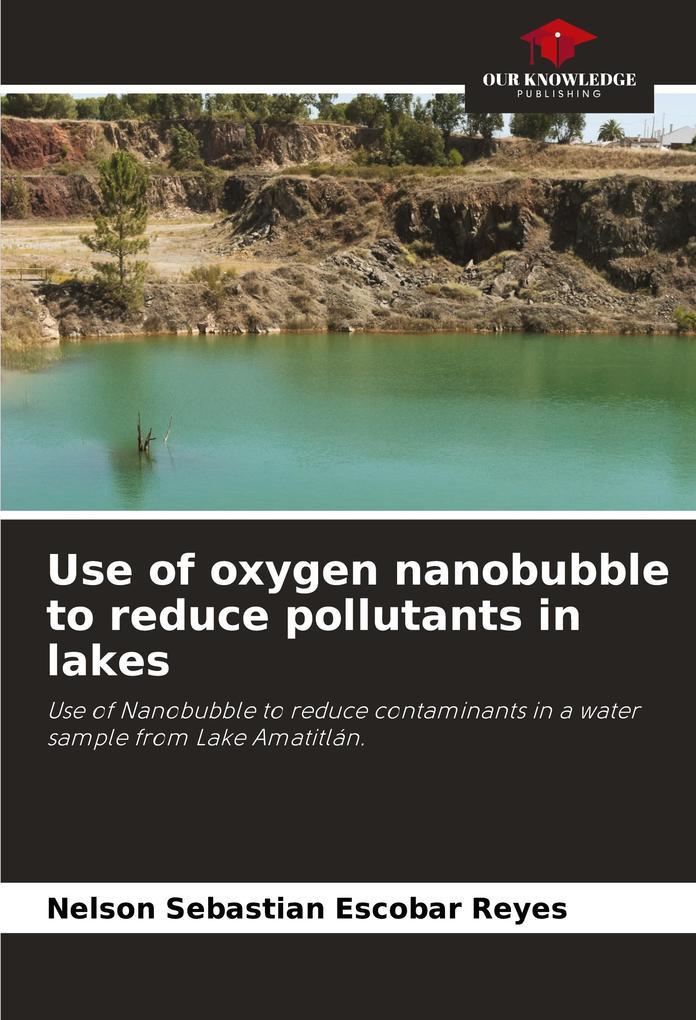Use of oxygen nanobubble to reduce pollutants in lakes