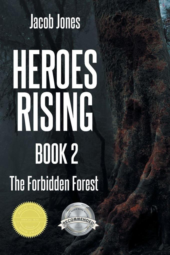 Heroes Rising Book 2