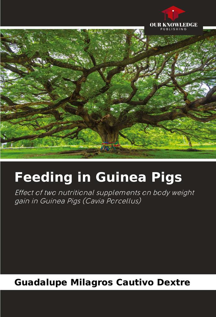 Feeding in Guinea Pigs