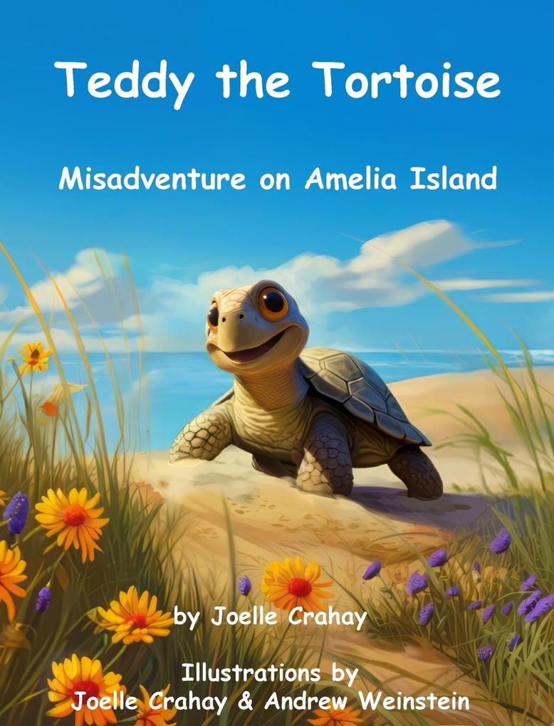 Teddy the Tortoise Misadventure on Amelia Island